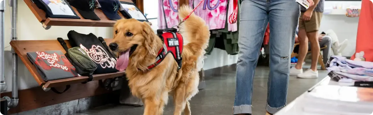 A golden retriever wearing a red service-animal vest walking through a retail store next to its handler in jeans