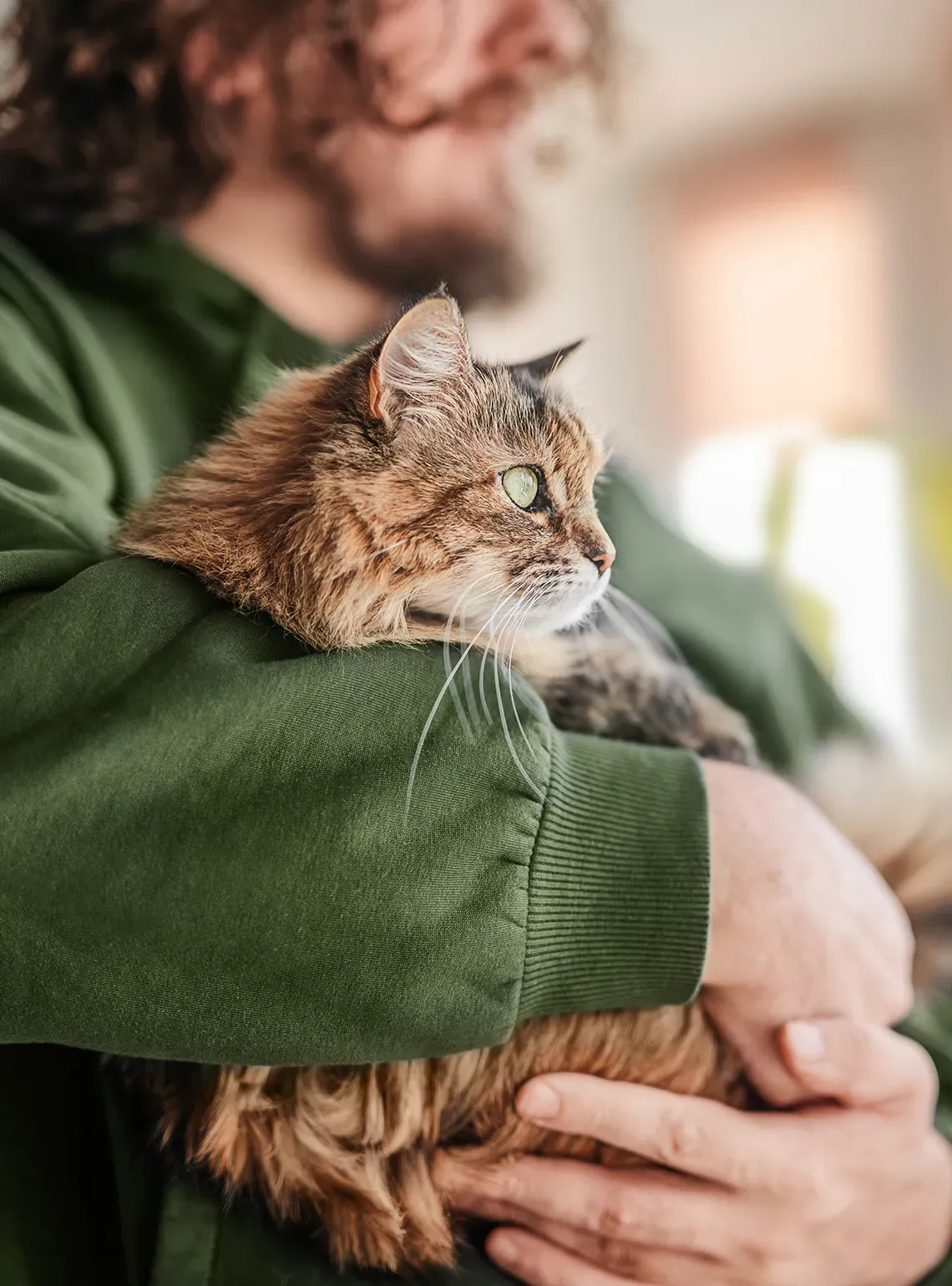 A man in a green sweater holding a fluffy tabby cat in his arms in soft indoor light